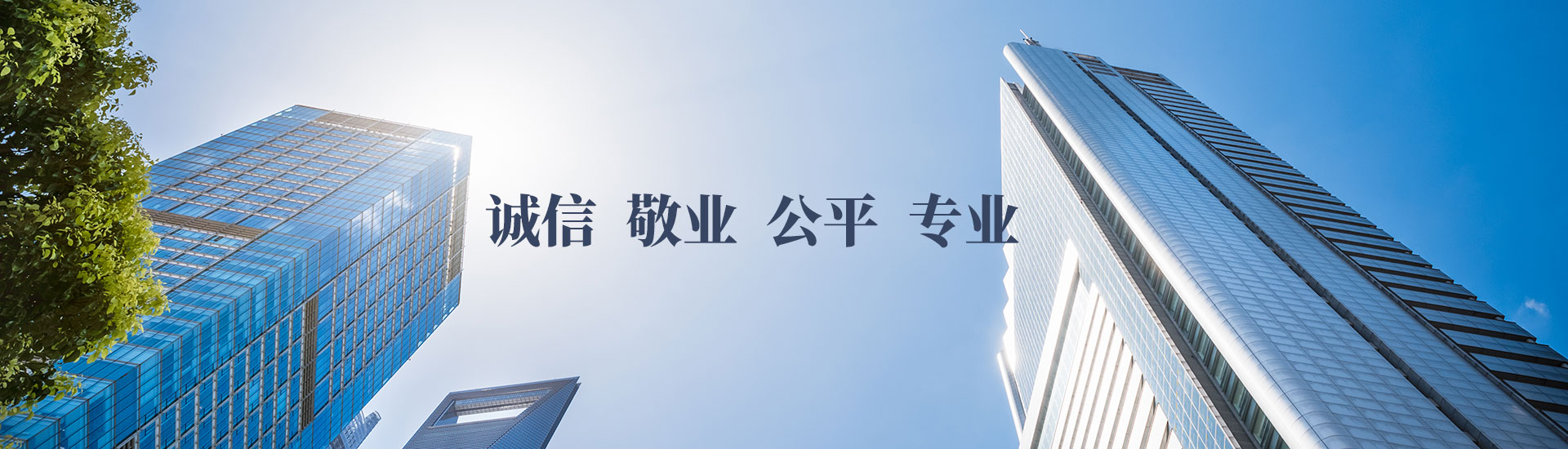 山東華地